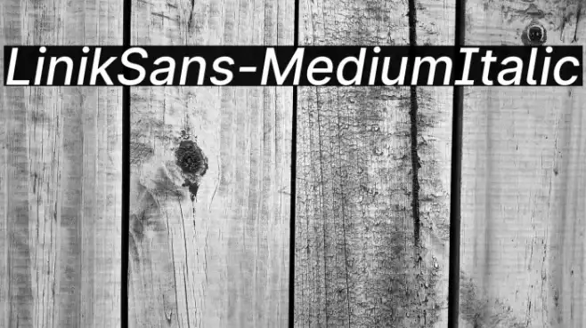 LinikSans-MediumItalic Example 3