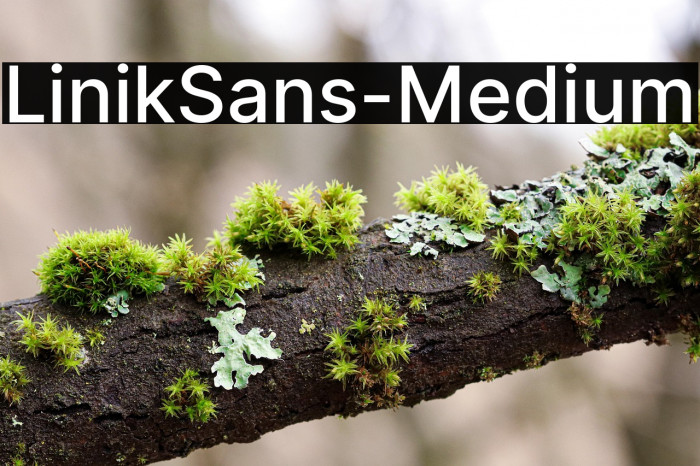 LinikSans-Medium Example 1