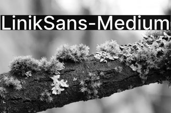 LinikSans-Medium Example 1