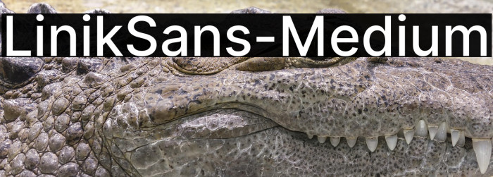 LinikSans-Medium Example 3