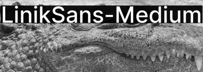 LinikSans-Medium Example 3