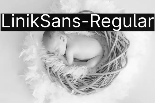 LinikSans-Regular Font examples