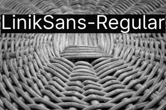 LinikSans-Regular Font examples