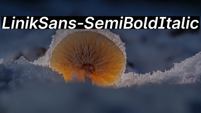 LinikSans-SemiBoldItalic Example 1