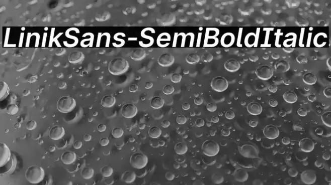 LinikSans-SemiBoldItalic Font examples