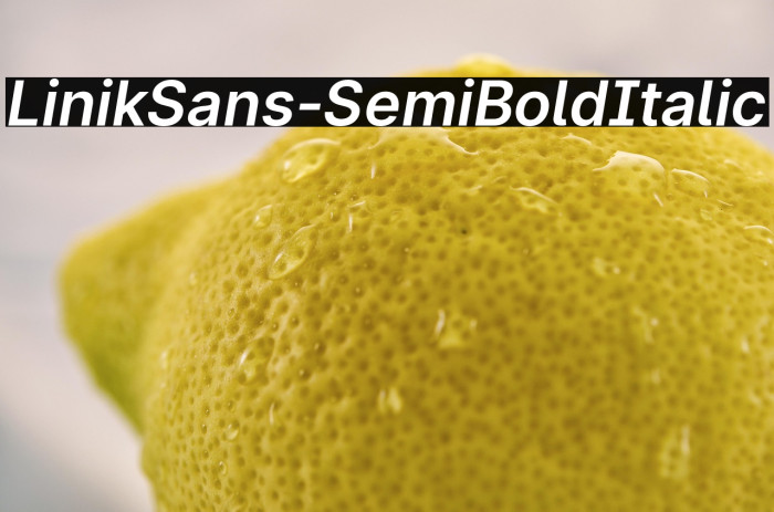 LinikSans-SemiBoldItalic Example 3