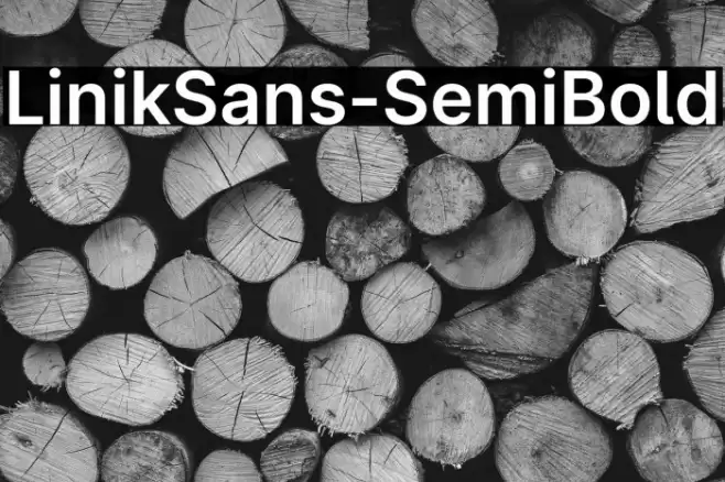 LinikSans-SemiBold Font examples