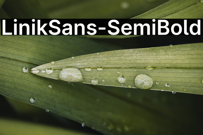 LinikSans-SemiBold Example 2