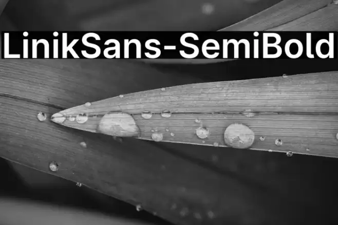 LinikSans-SemiBold Font examples