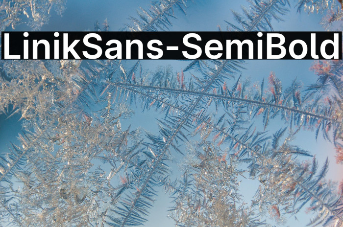 LinikSans-SemiBold Example 3