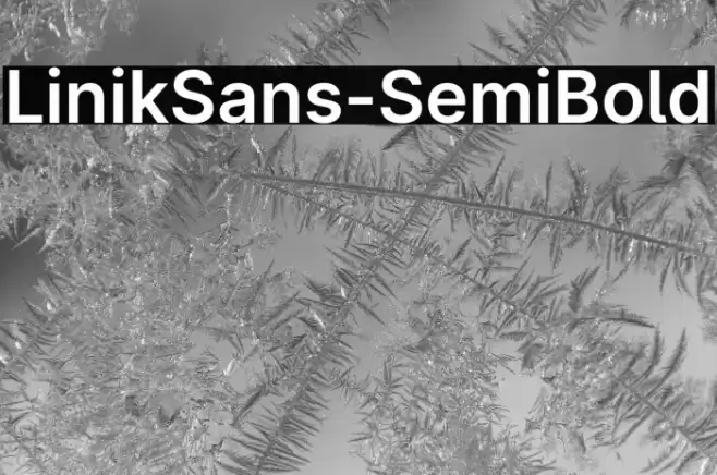 LinikSans-SemiBold Font examples