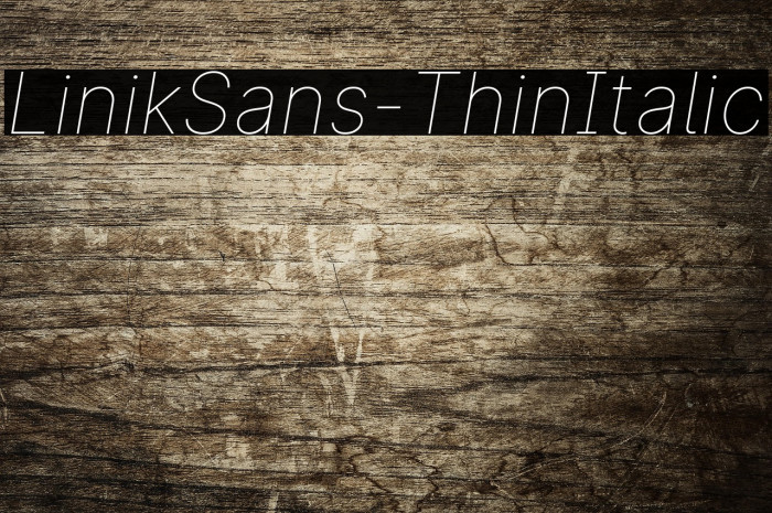 LinikSans-ThinItalic Example 1