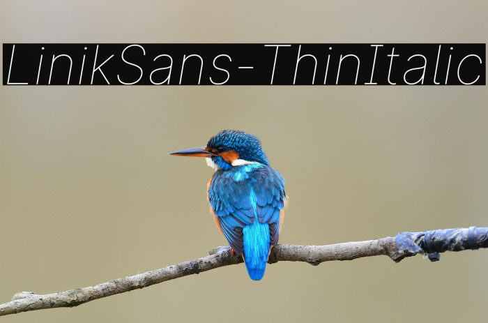 LinikSans-ThinItalic Example 2