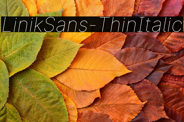 LinikSans-ThinItalic Example 3