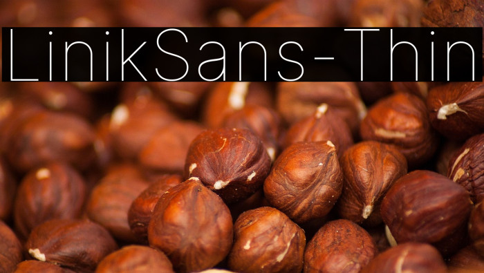 LinikSans-Thin Example 1