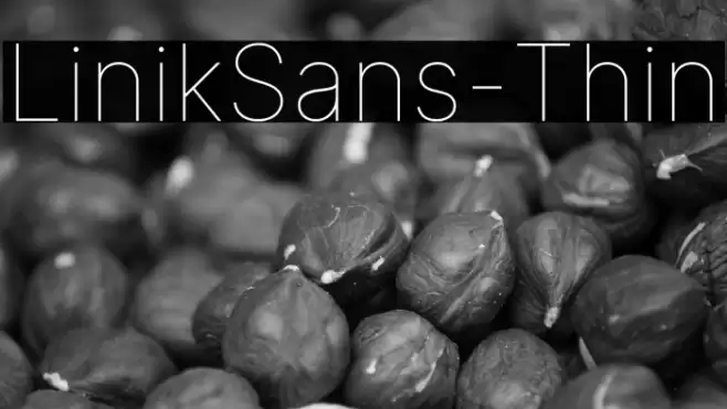 LinikSans-Thin Font examples