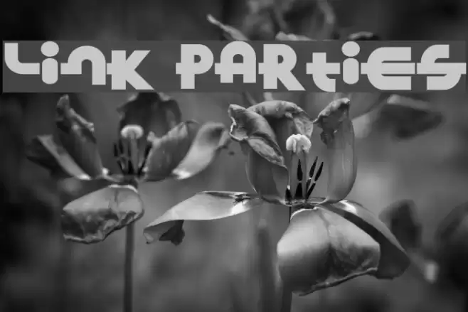 Link Parties Font examples
