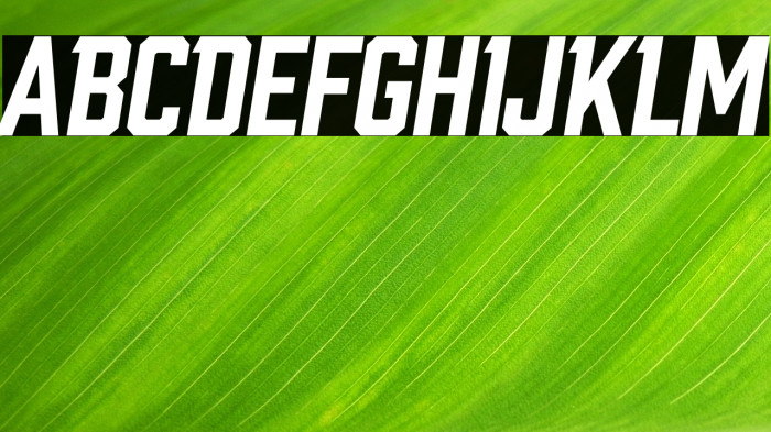 Link Start Italic Example 1