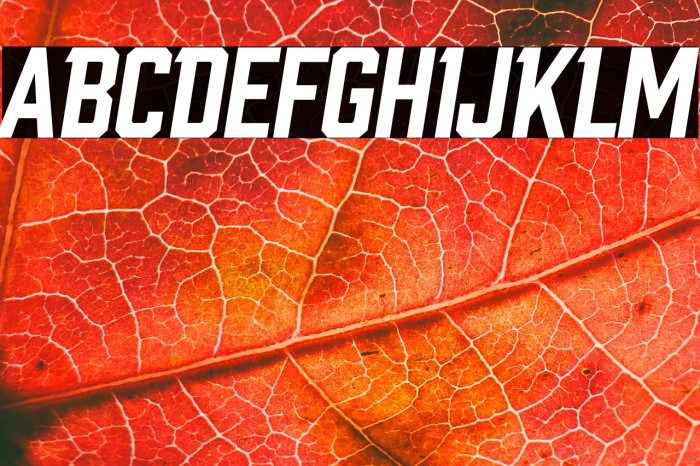 Link Start Italic Example 2