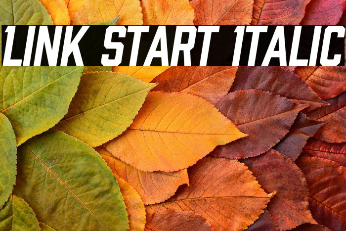 Link Start Italic Example 1