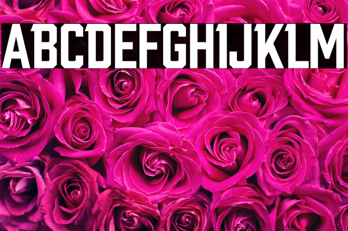 Link Start Example 1