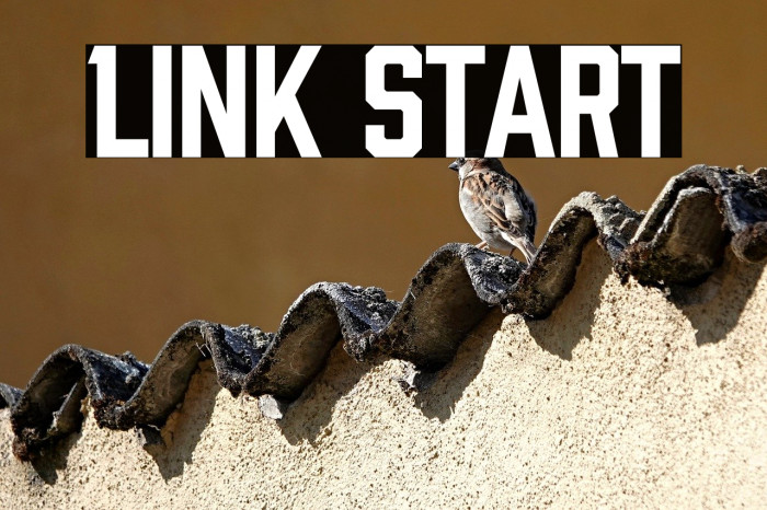 Link Start Example 1