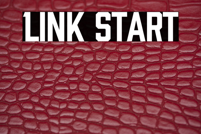 Link Start Example 2