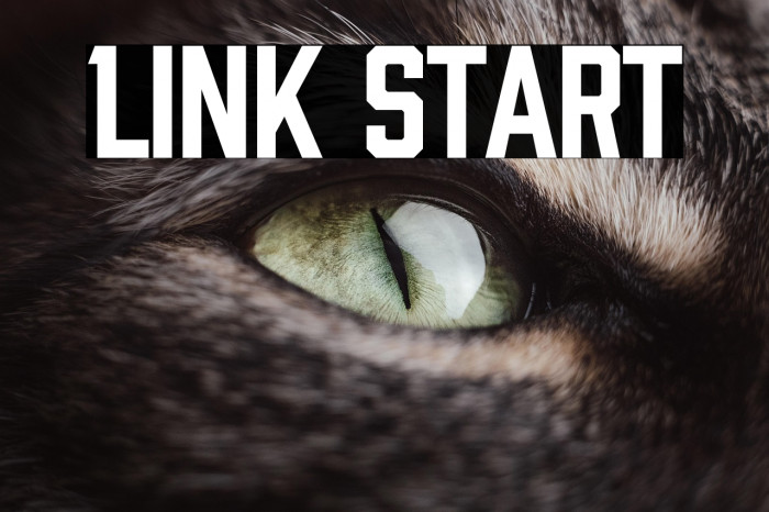 Link Start Example 3