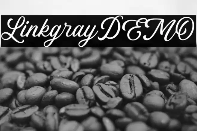 LinkgrayDEMO Font examples