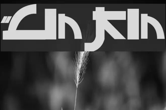 Linkin Font examples