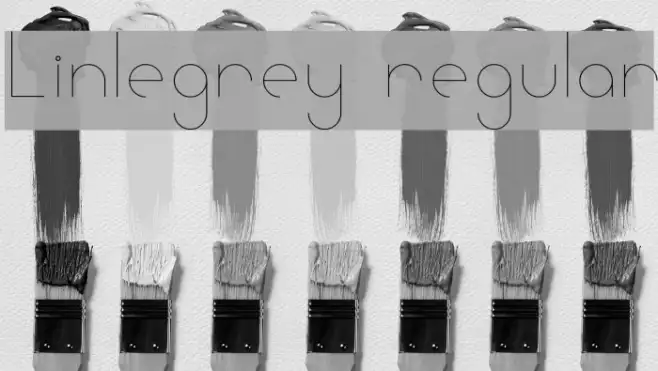 Linlegrey regular Example 1