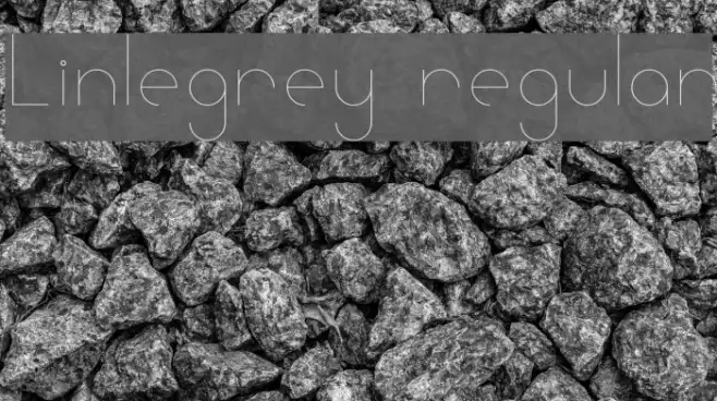 Linlegrey regular Example 3