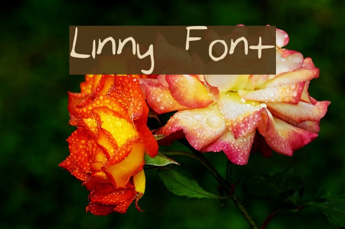 Linny Font examples