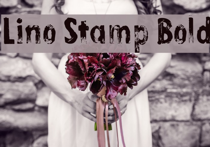 Lino Stamp Bold Font examples