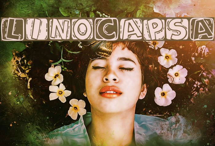 LinoCapsA Font examples