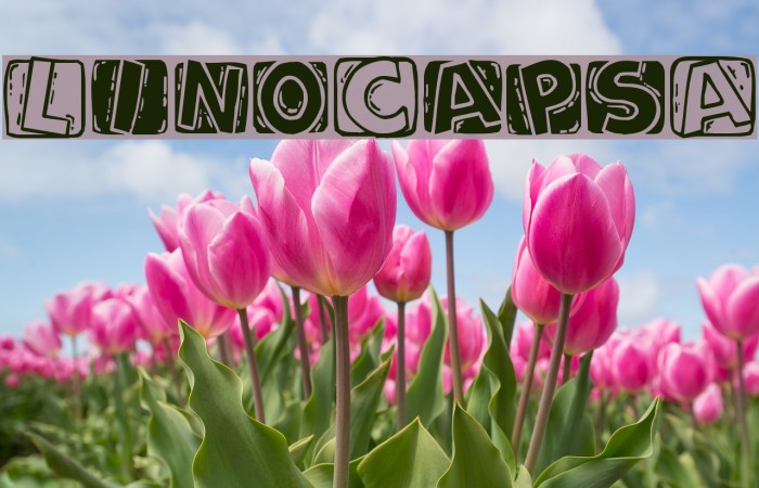 LinoCapsA Font examples