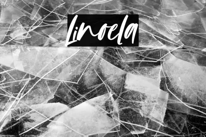 Linoela Example 1