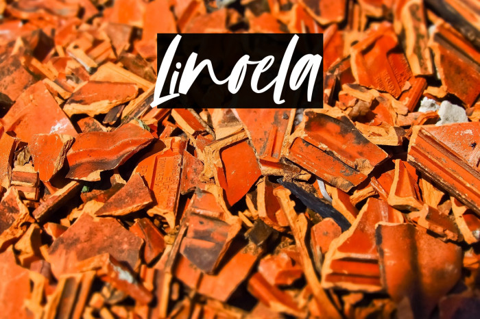 Linoela Example 3