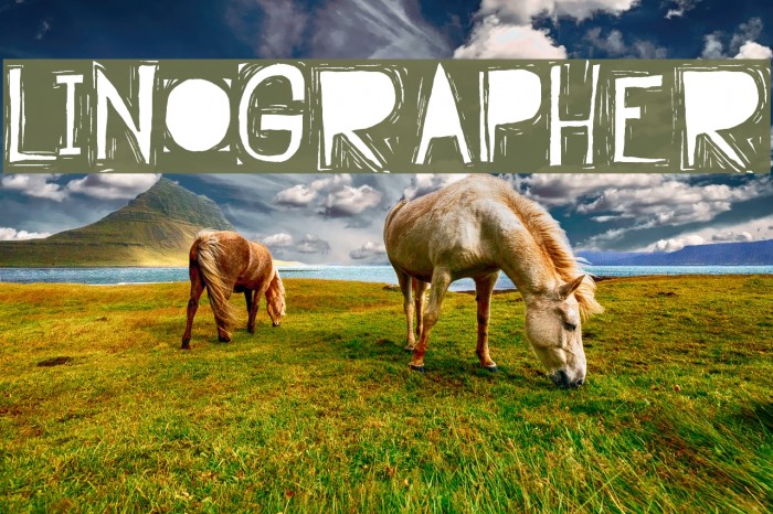 Linographer Example 2