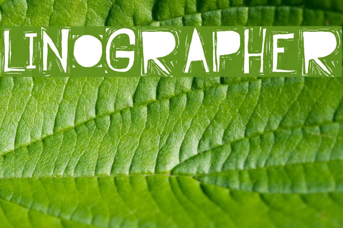 Linographer Example 3