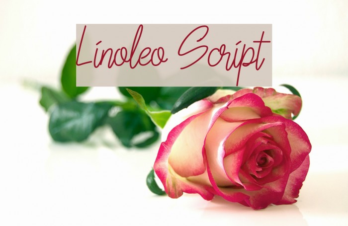 Linoleo Script Font examples