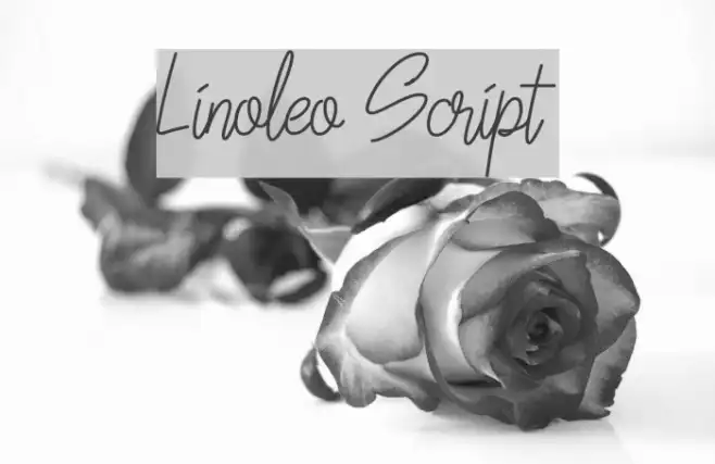 Linoleo Script Example 1