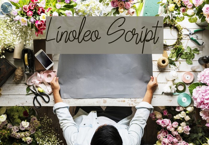 Linoleo Script Font examples