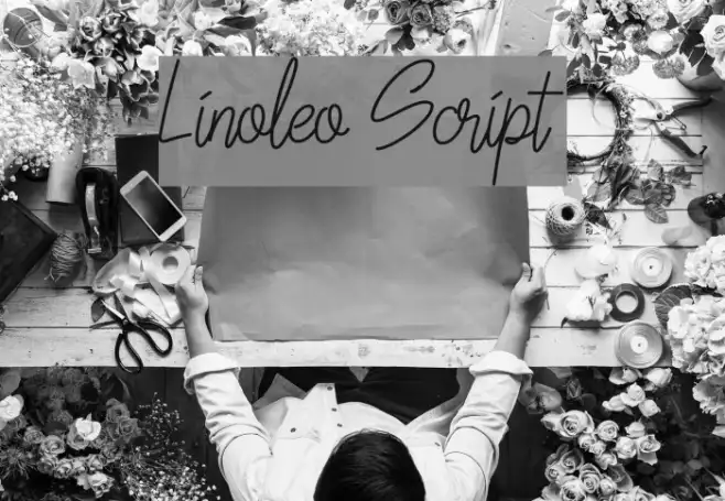 Linoleo Script Example 2
