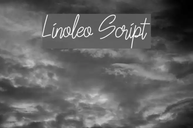 Linoleo Script Example 3