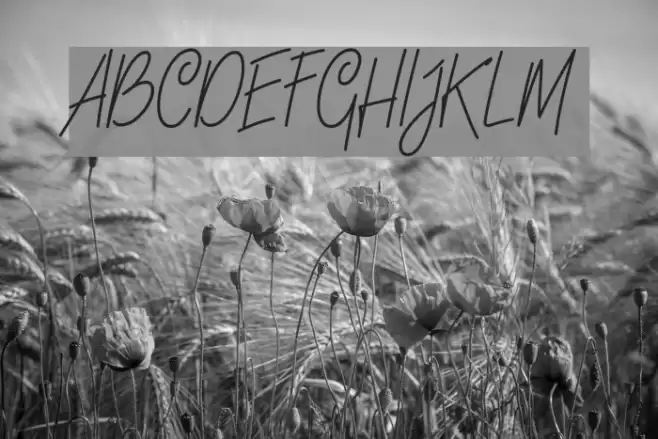 LinoleoScript Font examples