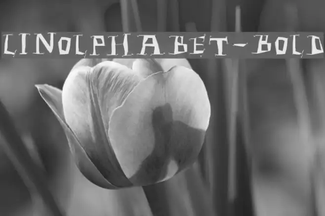 Linolphabet-Bold Example 1