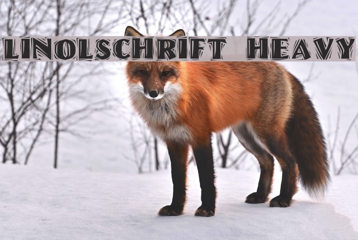 Linolschrift Heavy Example 3