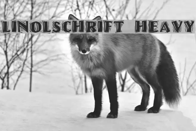 Linolschrift Heavy Font examples