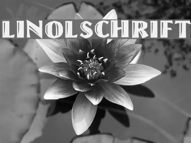 Linolschrift Example 1